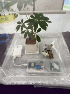 ケースの中に植物をいれて二酸化炭素を計測